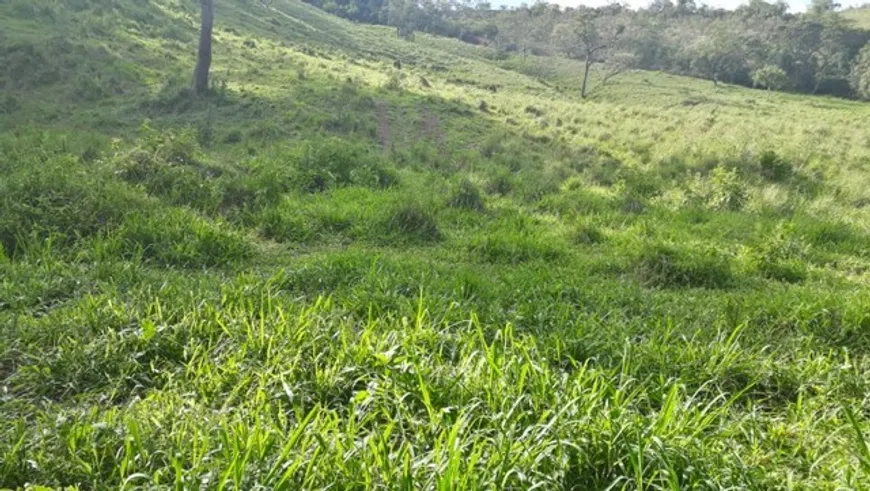 Foto 1 de Lote/Terreno à venda, 150000m² em Zona Rural, Passa Tempo