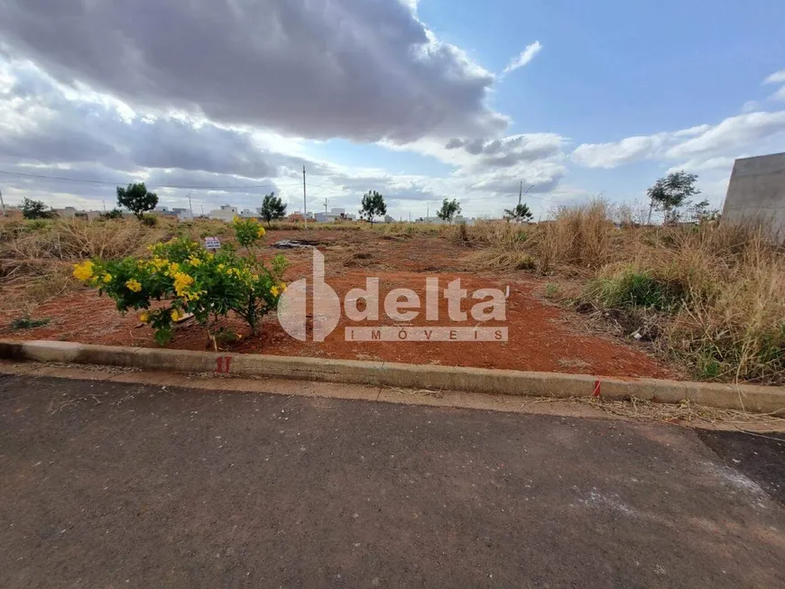 Foto 1 de Lote/Terreno à venda, 298m² em Novo Mundo, Uberlândia