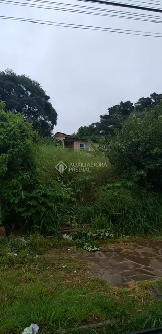 Foto 1 de Lote/Terreno à venda, 372m² em Vila Jardim, Porto Alegre