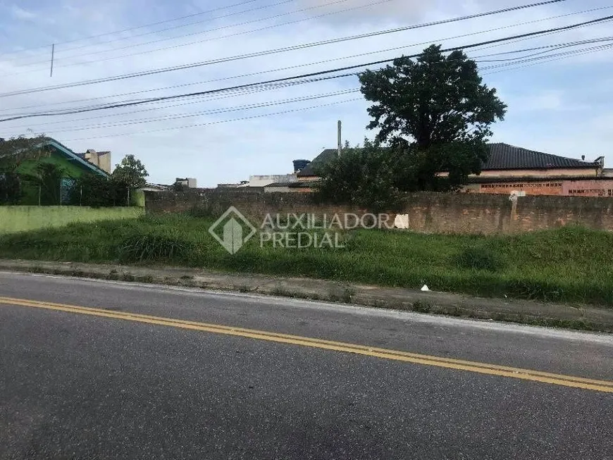 Foto 1 de Lote/Terreno à venda, 290m² em Coloninha, Florianópolis