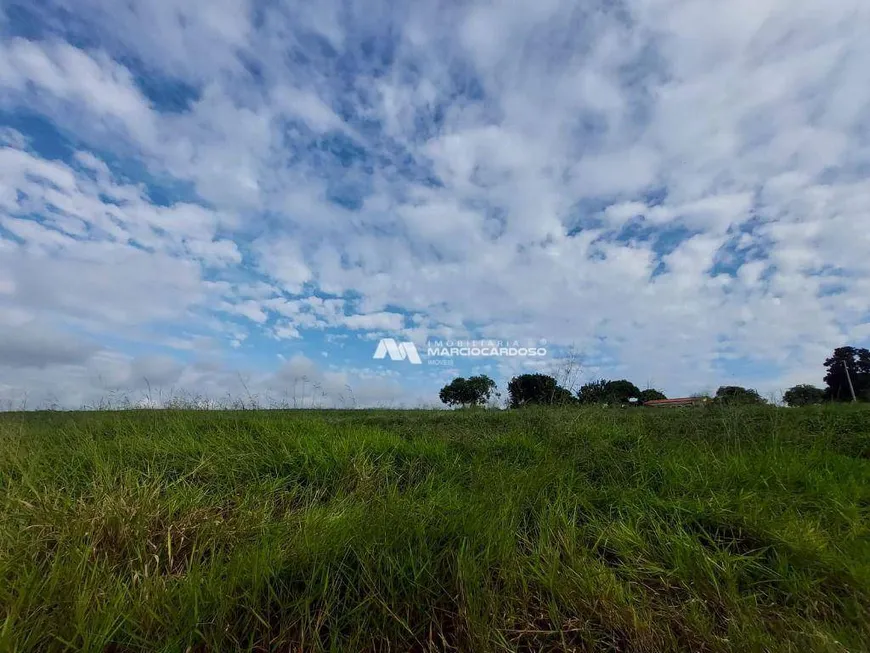 Foto 1 de Fazenda/Sítio com 5 Quartos à venda, 400m² em Zona Rural, Olímpia