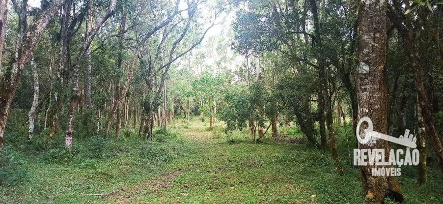 Foto 1 de Fazenda/Sítio com 1 Quarto à venda, 78650m² em Rio do Una, Tijucas do Sul