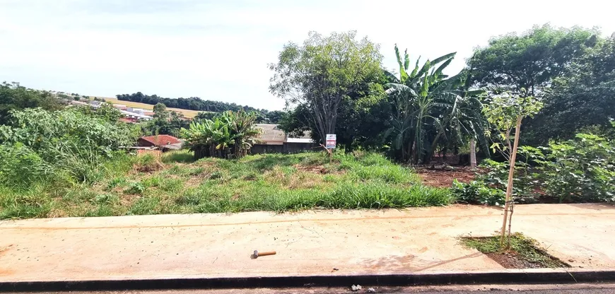 Foto 1 de Lote/Terreno à venda, 300m² em Jardim Nova Independencia, Sarandi