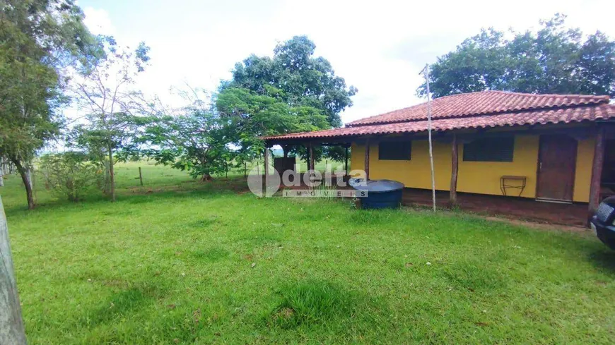 Foto 1 de Fazenda/Sítio com 2 Quartos à venda, 135000m² em Area Rural de Uberlandia, Uberlândia