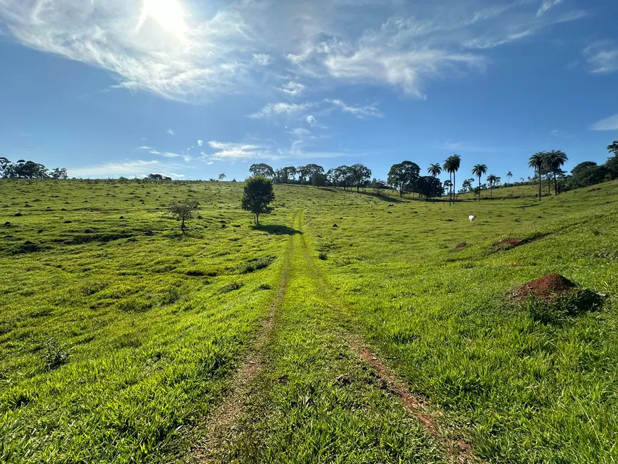 Foto 1 de Fazenda/Sítio com 3 Quartos à venda, 26000m² em Zona Rural, Mateus Leme