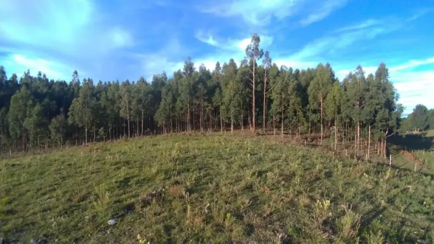 Foto 1 de Fazenda/Sítio à venda, 30400m² em , São Francisco de Paula