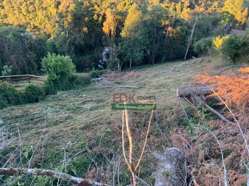 Foto 1 de Lote/Terreno à venda, 1022m² em Alto do Capivari, Campos do Jordão