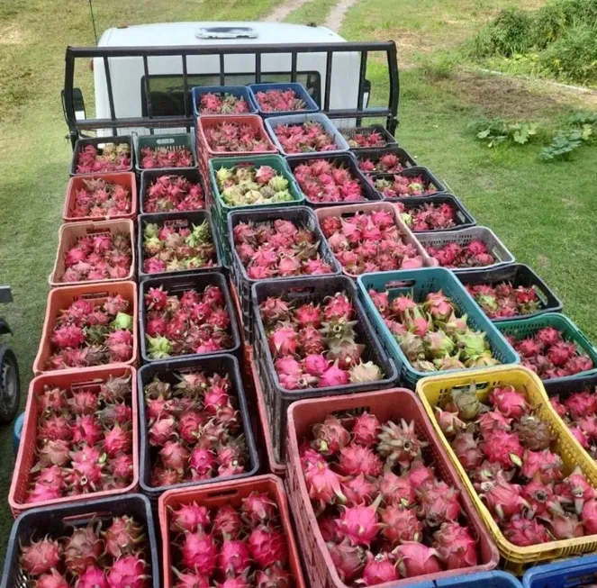 Foto 1 de Fazenda/Sítio à venda, 28m² em Zona Rural , Manaus