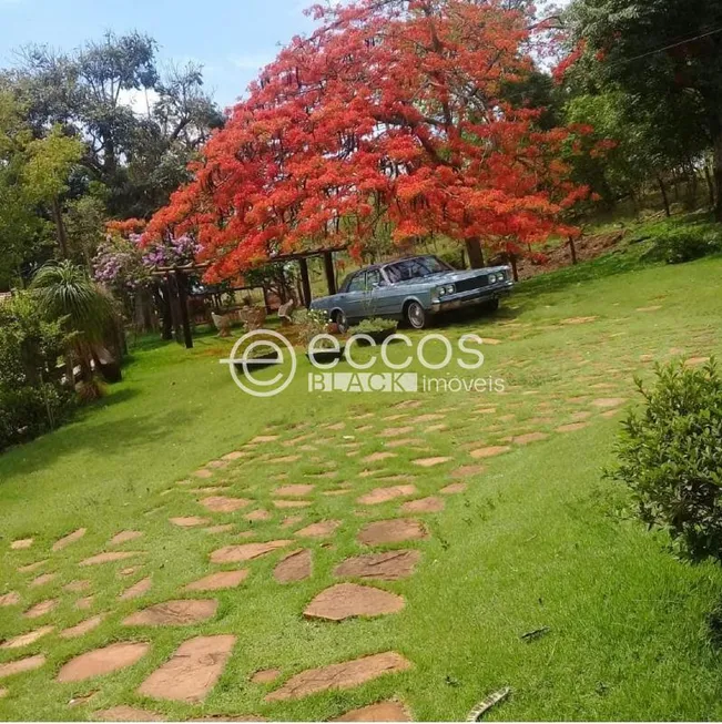 Foto 1 de Fazenda/Sítio com 3 Quartos à venda, 15m² em Distrito Industrial, Uberlândia