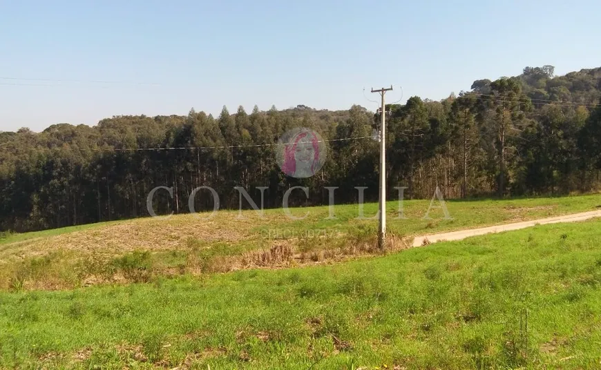 Foto 1 de Fazenda/Sítio à venda, 24000m² em Areia Branca dos Assis, Mandirituba