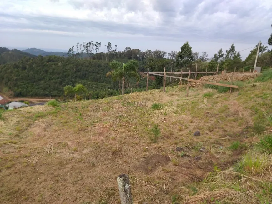 Foto 1 de Lote/Terreno à venda, 360m² em Centro, Barão