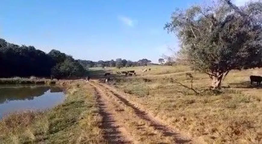 Foto 1 de Fazenda/Sítio à venda, 290400m² em Zona Rural, Cezarina