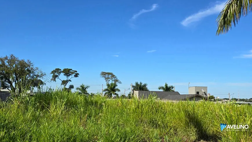 Foto 1 de Lote/Terreno com 1 Quarto à venda, 390m² em Jardim das Palmeiras, Dourados