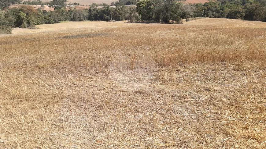 Foto 1 de à venda, 242000m² em Centro, Turvolândia