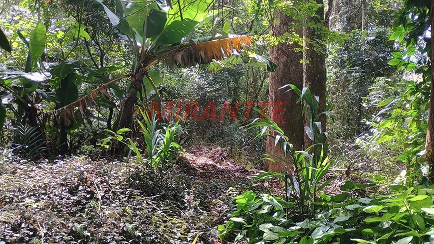 Foto 1 de Lote/Terreno à venda, 1m² em Serra da Cantareira, São Paulo