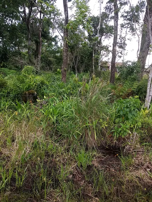 Foto 1 de Lote/Terreno à venda, 375m² em Praia do Ervino, São Francisco do Sul