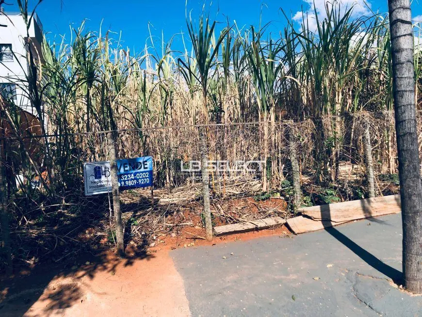 Foto 1 de Lote/Terreno à venda, 300m² em Alto Umuarama, Uberlândia