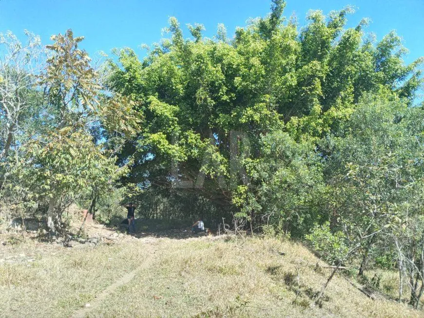 Foto 1 de Fazenda/Sítio à venda, 184800m² em Padre Brito, Barbacena