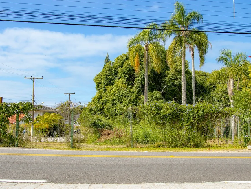 Foto 1 de Lote/Terreno à venda, 4130m² em Lagoa da Conceição, Florianópolis