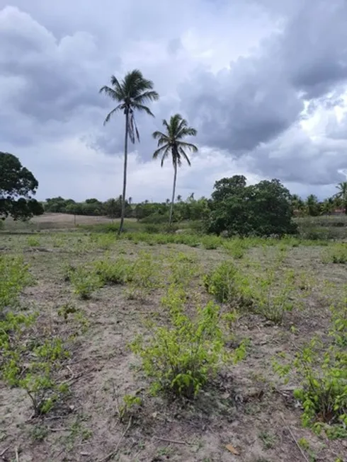 Foto 1 de Fazenda/Sítio à venda, 15000m² em Golandim, São Gonçalo do Amarante