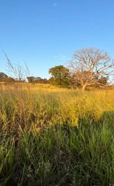 Foto 1 de Fazenda/Sítio à venda, 1839200m² em Zona Rural, Iporá