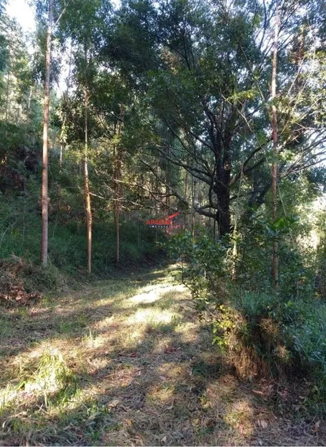 Foto 1 de Lote/Terreno à venda, 56000m² em Sao Raimundo da Pedra Menina, Dores do Rio Preto