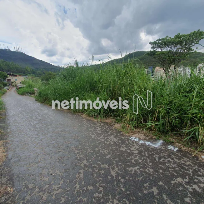 Foto 1 de Lote/Terreno à venda, 390m² em Mangabeiras, Belo Horizonte