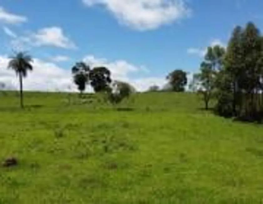 Foto 1 de Lote/Terreno à venda, 20000m² em Zona Rural, Caeté