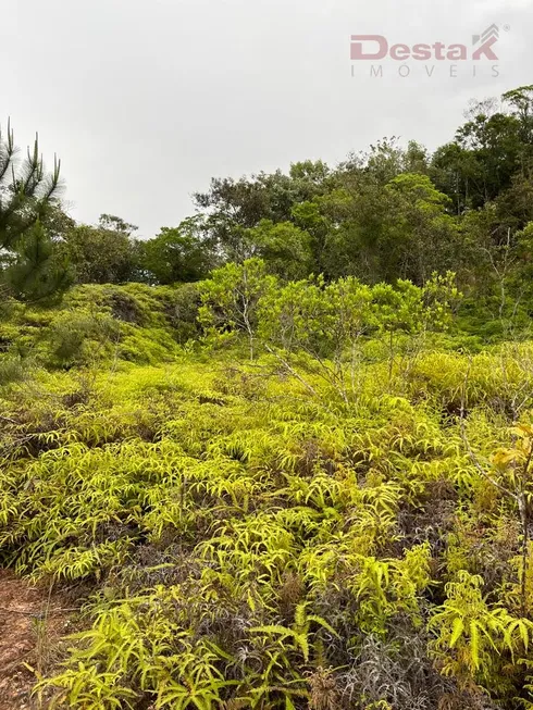 Foto 1 de Lote/Terreno à venda, 3080m² em Centro, Santo Amaro da Imperatriz