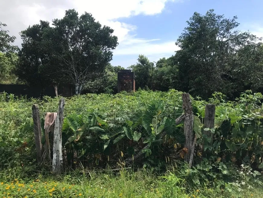 Foto 1 de Lote/Terreno à venda, 360m² em Barra de Itapocú, Araquari