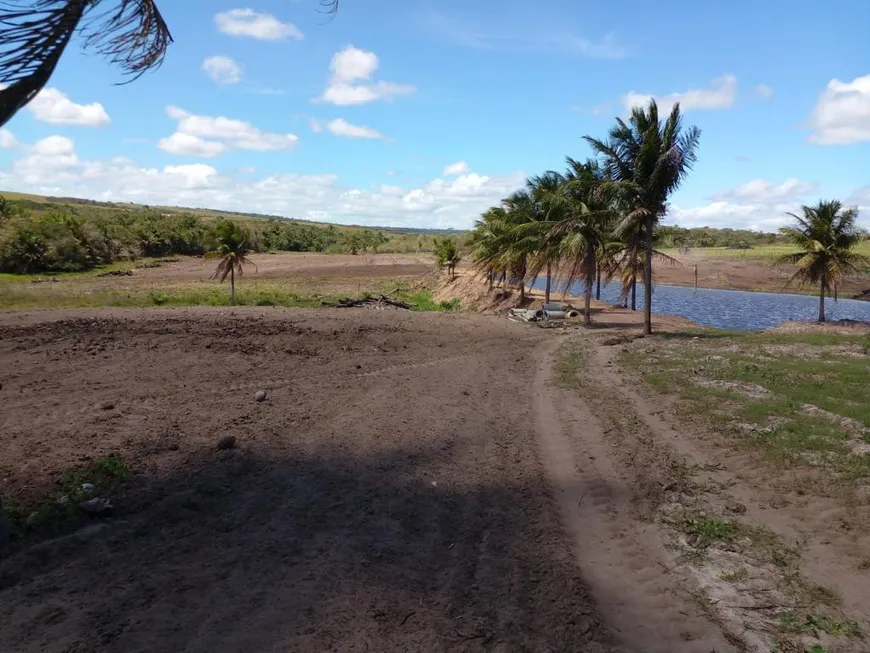 Foto 1 de Fazenda/Sítio com 3 Quartos à venda, 44900m² em Zona Rural, Pedro Velho
