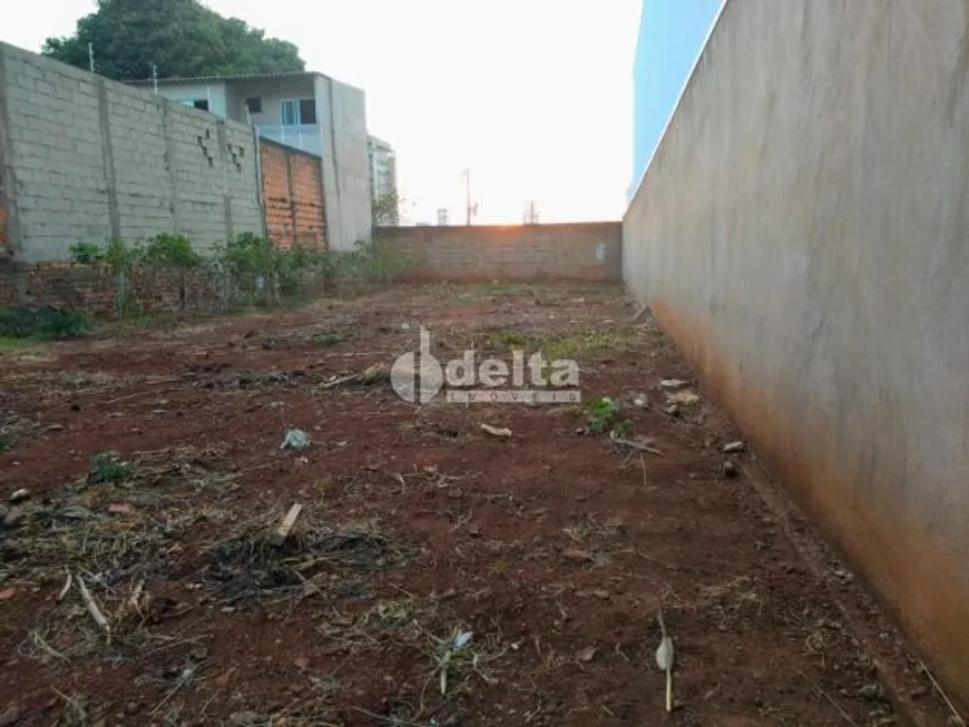 Foto 1 de Lote/Terreno à venda, 300m² em Santa Mônica, Uberlândia