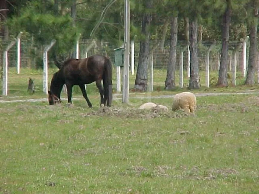 Foto 1 de Fazenda/Sítio com 3 Quartos à venda, 15801m² em Costa Do Ipiranga, Gravataí