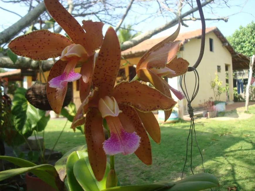 Foto 1 de Fazenda/Sítio com 2 Quartos à venda, 13500m² em Lagoa do Bonfim, Nísia Floresta