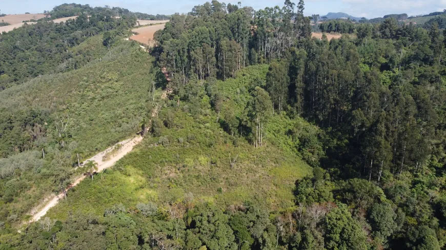 Foto 1 de Fazenda/Sítio à venda, 20000m² em Bateias, Campo Largo