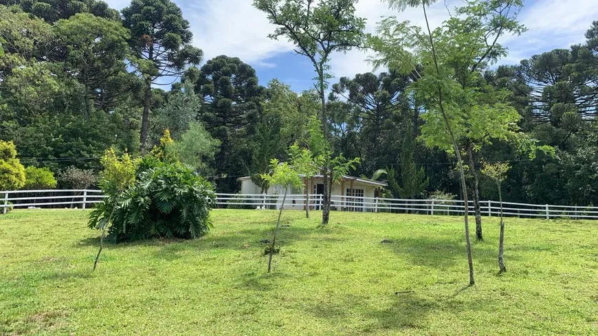 Foto 1 de Fazenda/Sítio com 1 Quarto à venda, 10000m² em Tapera, Gramado