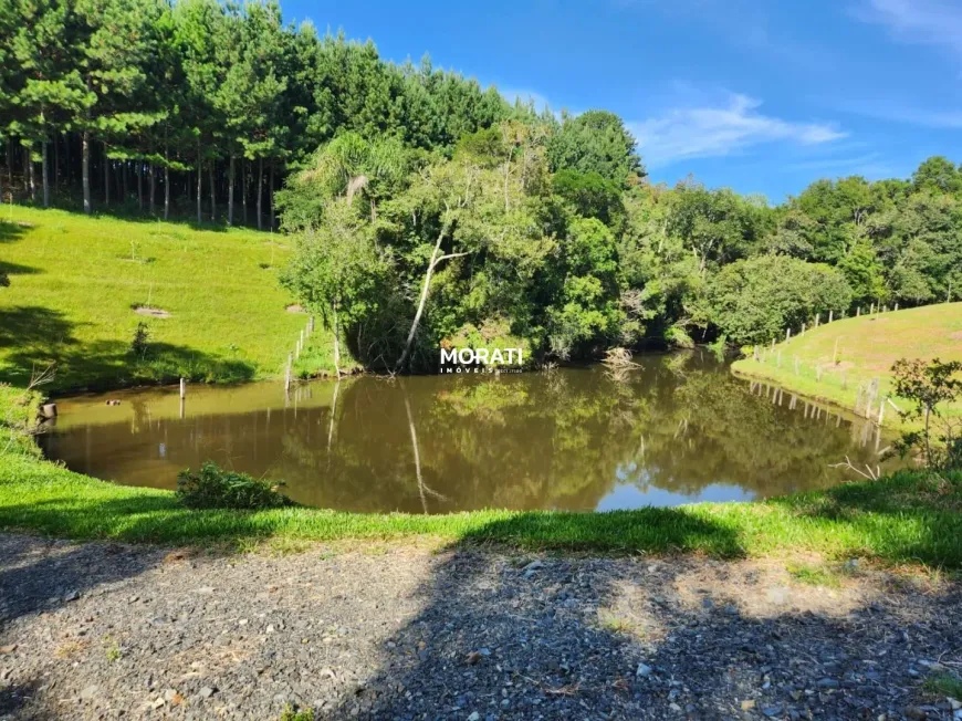 Foto 1 de Fazenda/Sítio com 2 Quartos à venda, 305235m² em Ambrosios, Tijucas do Sul