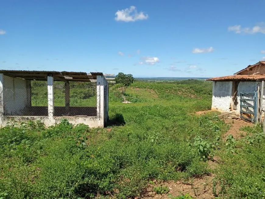 Foto 1 de Fazenda/Sítio com 3 Quartos à venda, 6600m² em Zona Rural, São José de Mipibu
