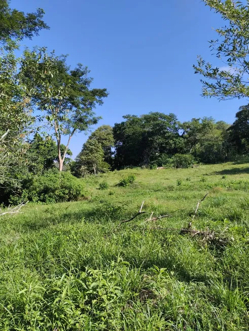 Foto 1 de Fazenda/Sítio à venda, 24000m² em Centro, Jataizinho