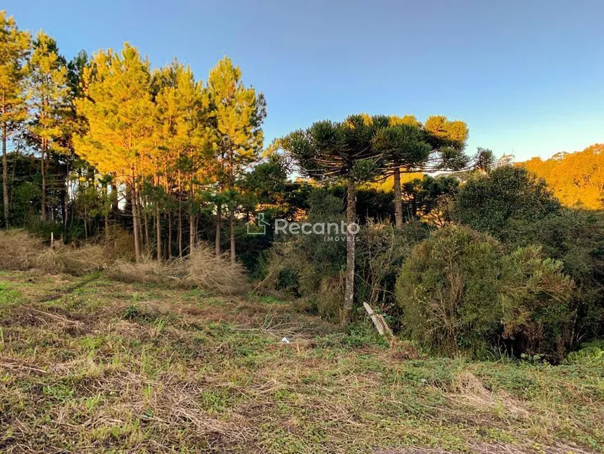 Foto 1 de Lote/Terreno à venda, 840m² em São Bernardo, São Francisco de Paula