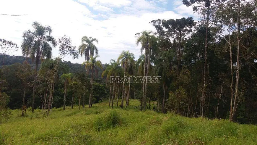 Foto 1 de Lote/Terreno à venda, 21786m² em Jardim Nossa Senhora das Graças, Cotia