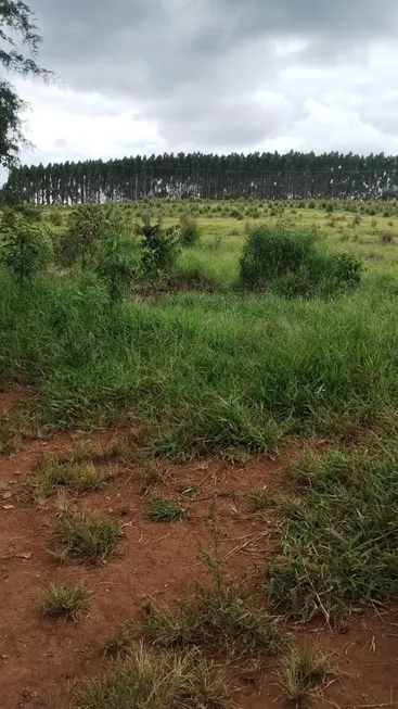 Foto 1 de Fazenda/Sítio à venda, 9500000m² em Ipiranga Setor Industrial, Pouso Alegre