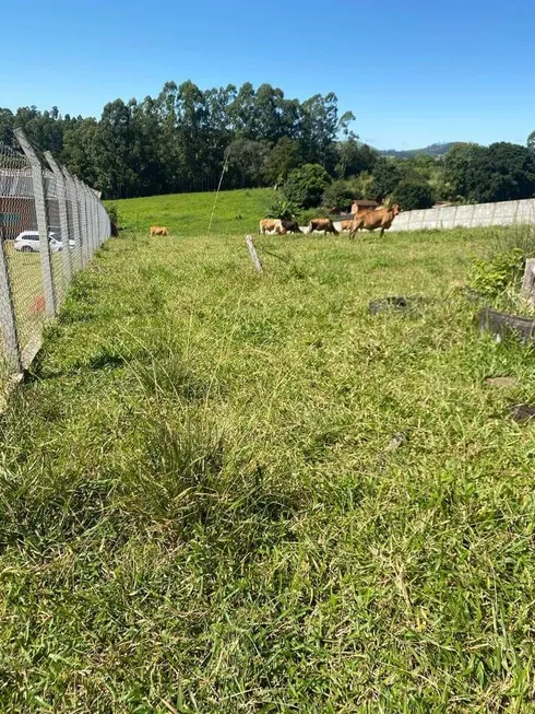 Foto 1 de Lote/Terreno à venda, 3000m² em Centro, Pouso Alegre