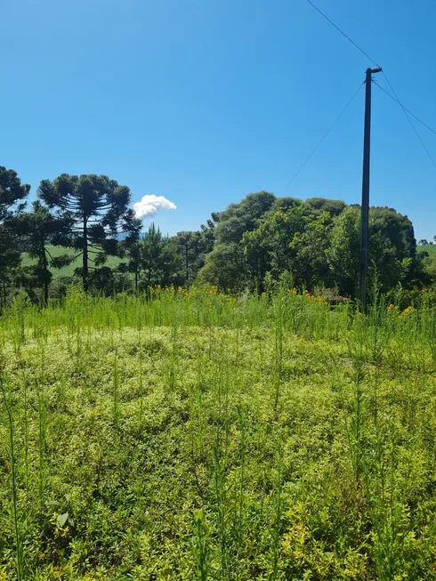 Foto 1 de Fazenda/Sítio à venda, 50000m² em Esquina, Urubici