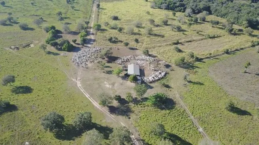 Foto 1 de Fazenda/Sítio com 3 Quartos à venda, 20000m² em Engenho Braun, Chapecó