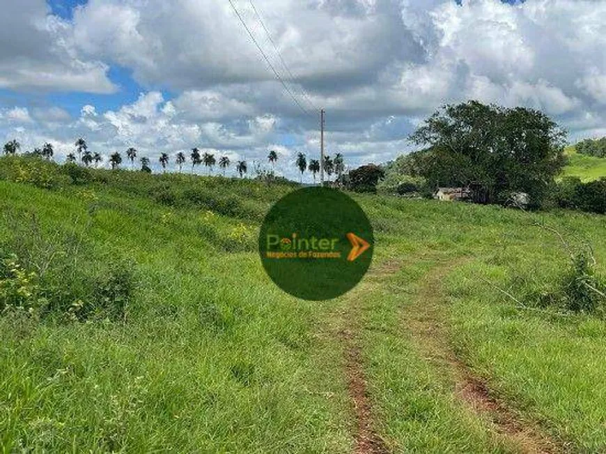 Foto 1 de Fazenda/Sítio à venda, 696960m² em Zona Rural, Anápolis