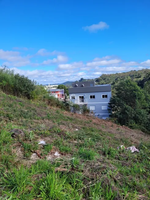 Foto 1 de Lote/Terreno à venda, 368m² em Primeiro de Maio, Farroupilha