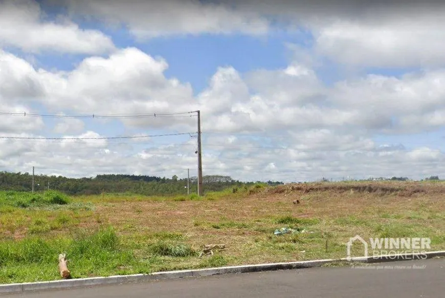 Foto 1 de Lote/Terreno à venda, 488m² em Conjunto Habitacional Sonho Meu, Umuarama