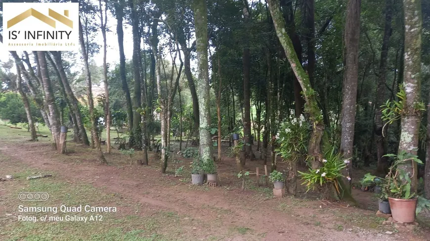 Foto 1 de Fazenda/Sítio à venda, 3159m² em Cachoeira, São José dos Pinhais