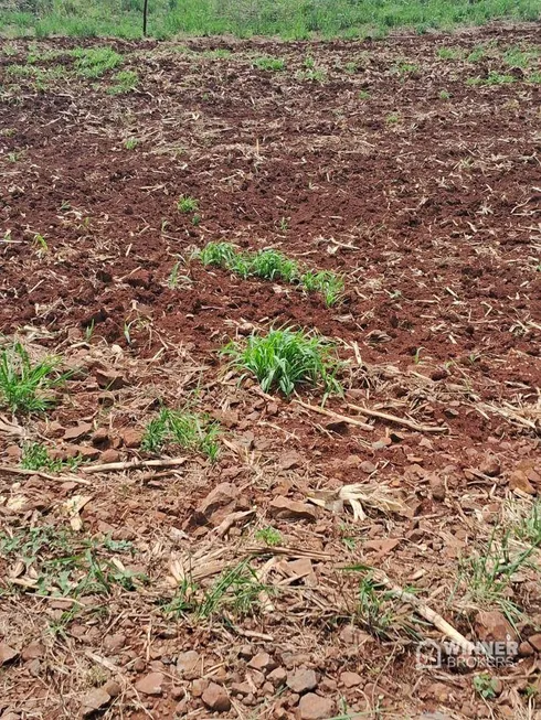 Foto 1 de Fazenda/Sítio à venda, 4000m² em , Bom Sucesso